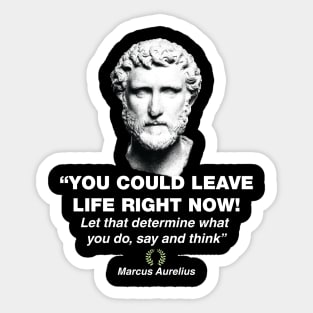 Marcus Aurelius, Chief Stoic Sticker